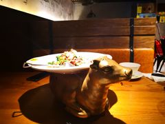 -炊烟小炒黄牛肉(东庆街店)