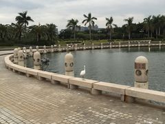 -白鹭洲公园