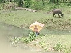 -江南天池