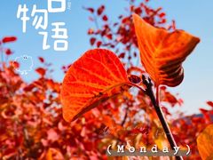 -周口店坡峰岭风景区
