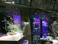 -锦厨国际自助餐厅 · 云端景观 (昆明索菲特大酒店)