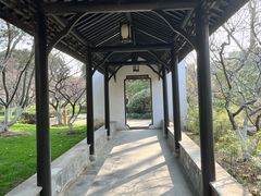 -红梅公园