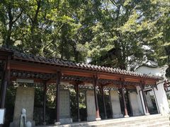 -严子陵钓台(富春江小三峡)