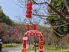 -广州市帽峰山景区