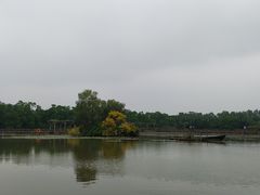 -大湾区中央湿地公园