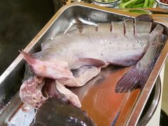 -江湖水乡铁锅炖魚(周庄嘉园店)