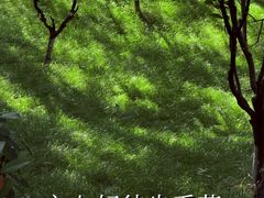 -南京市江宁方山