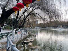 -莲湖公园