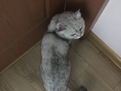 -合肥野生动物园