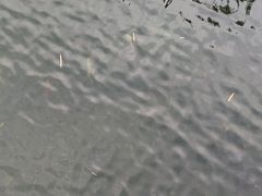 -九龙潭景区