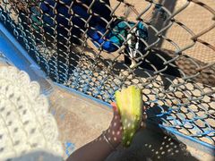 -森林公园(尖草坪区)