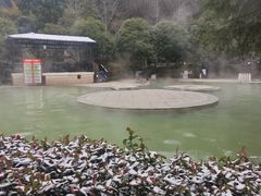 -三江森林温泉度假区