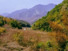 -北仑森林植物园