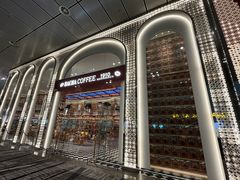 -樟宜机场免税店
