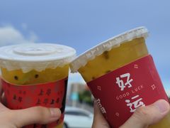 -红花山公园