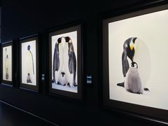 -罗红摄影艺术馆