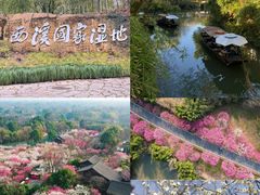 -西溪国家湿地公园