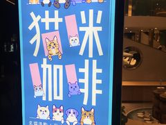 -飞行喵MR PILOT|猫舍·猫咖(静安大融城店)