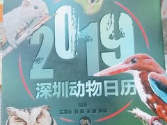 -深圳特区报业大厦