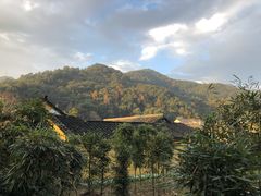 -会稽山峡洞漂流-上青古道