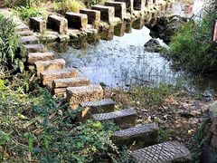 -花溪公园