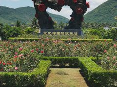 景点-亚龙湾国际玫瑰谷