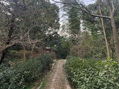 -东山风景区(洞庭东山)
