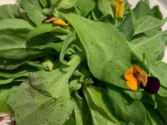 冰草刺身-106餐厅(山水文园店)