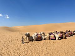 -银肯塔拉沙漠生态旅游景区