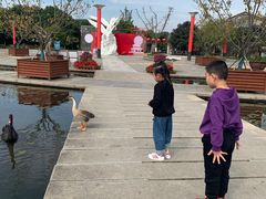-白马涧龙池景区