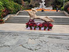 -金鸡山公园