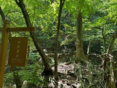 -本溪汤沟绿石谷森林公园