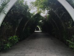 -天津东丽湖风景区