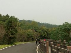-游子山休闲旅游区