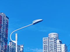 -溪岸路花鸟市场