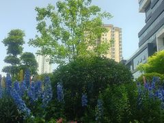 -西安电影制片厂