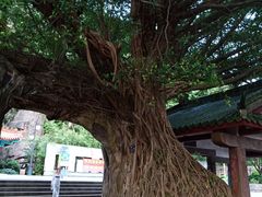 -神光山国家森林公园