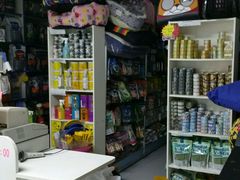 -北京观赏动物医院·24小时大型综合·猫专科·异宠专科