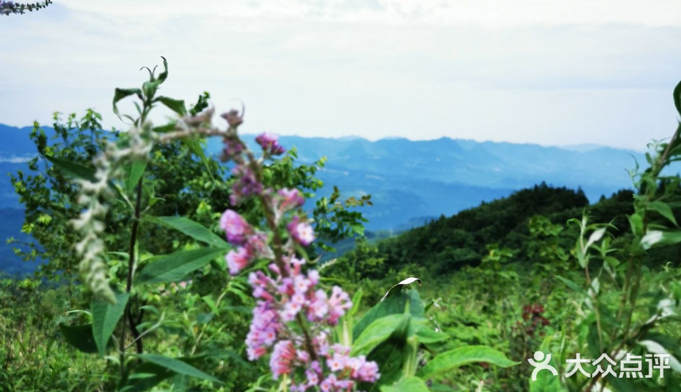 离重庆车程1.5小时避暑打卡地