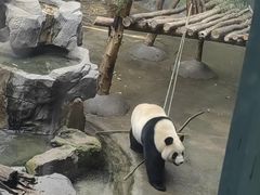 -合肥海洋世界