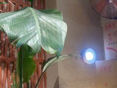 -云阿蛮云南生烫牛肉米线(奉贤路店)