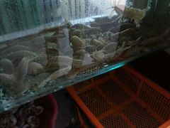 -百丰园海鲜烧烤农家菜(威·至海港湾店)