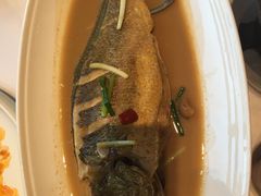 -峨嵋酒家 南北川菜 优选烤鸭(广渠路店)