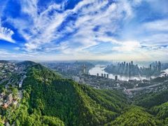 -南山植物园