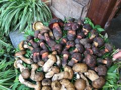 -大理董·董家小厨野生菌火锅(古城旗舰店)