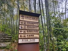 -杨家堂村