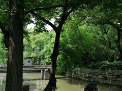 -汇龙潭