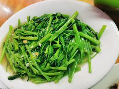 炒青菜-乌文新澄海卤鹅店
