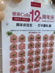 -银座Calla日式美容沙龙