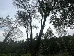 -广州市白云山风景名胜区